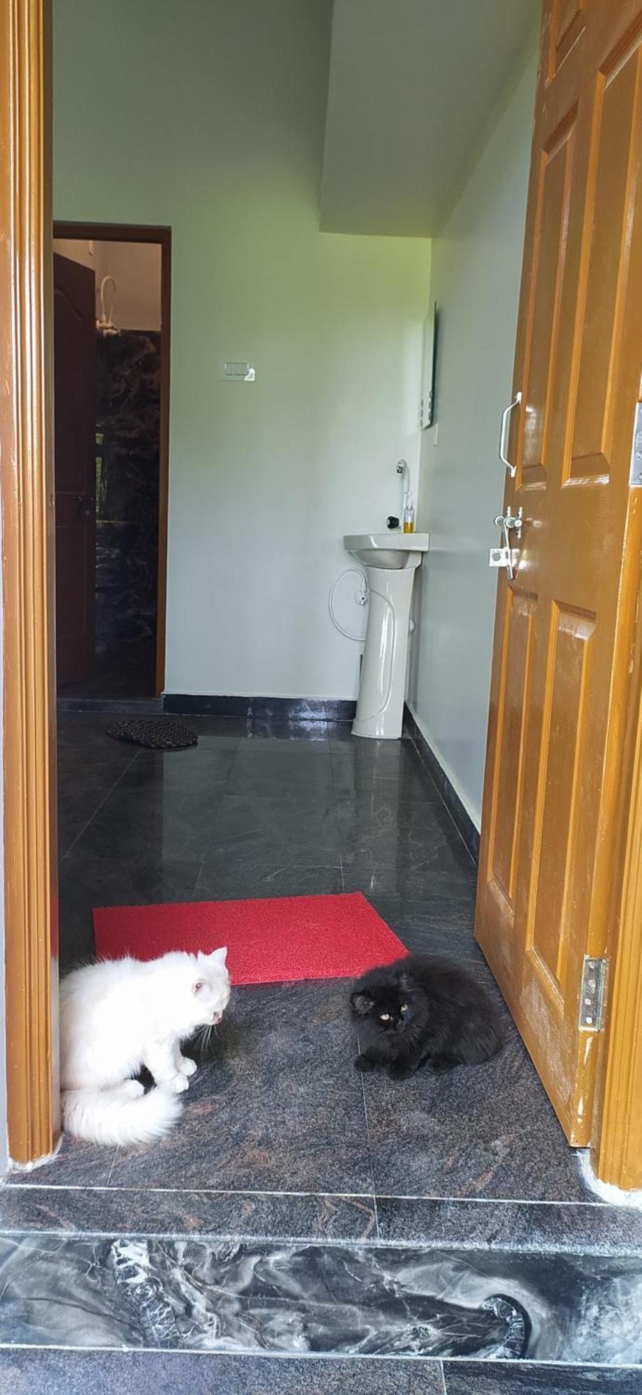 Ratnakar Arundekar Home Stay In Beach Side Ac Room Гокарна Екстериор снимка